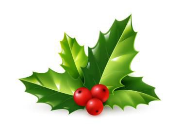 Holly and berries
